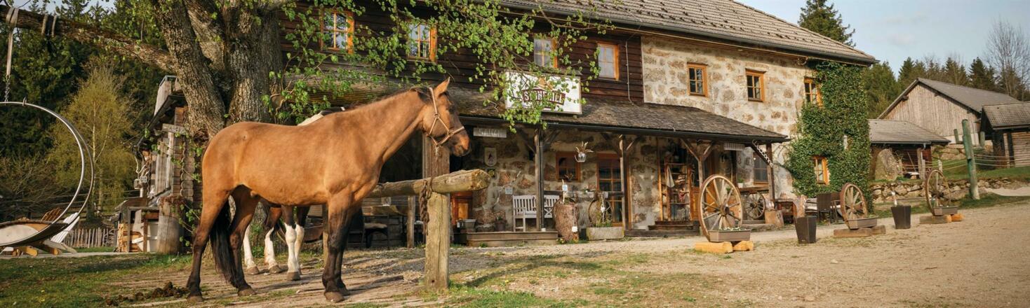 StoneHill Ranch Hausansicht