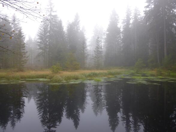 Grimmeisenweiher