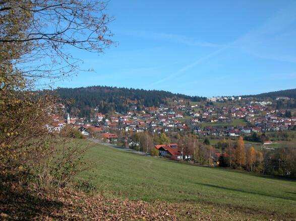 Blick nach St. Englmar vom Wanderweg Nr. 2