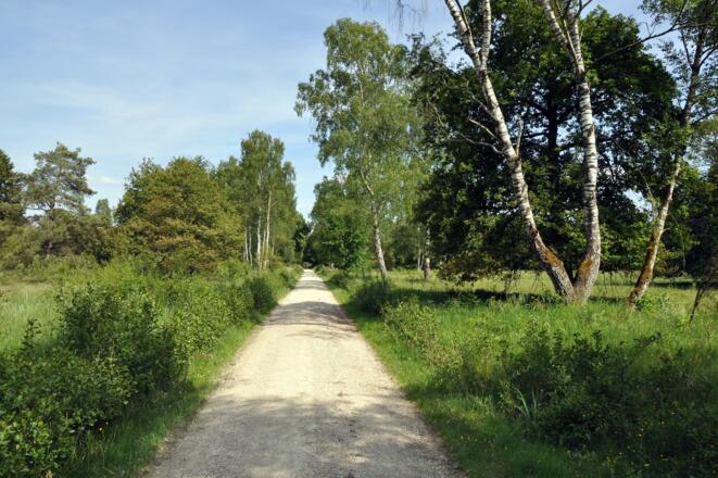 Badertaferl