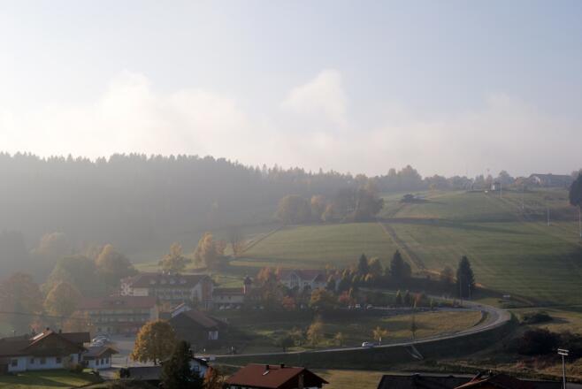 Blick nach Grün