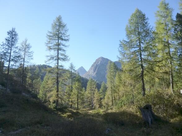 Hundstod und Hirschwand