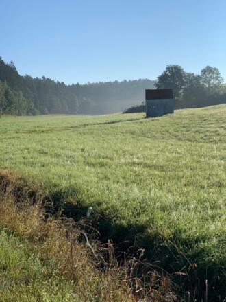 Feierabendstrampler Ost - 02_Landschaft und Hopfen Richtung Siebenecken (3).JPEG
