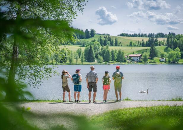 Rundweg Soier See