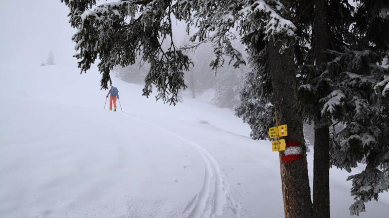 Skitour Roßkogel Brandenberg Kreuzjoch