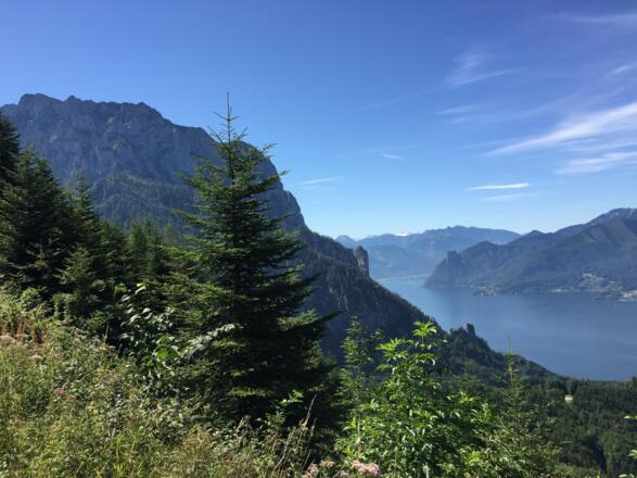 Blick Traunsee-Traunstein vom Grünberg aus