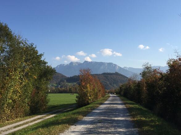 Im Hintergrund der Wilde Kaiser