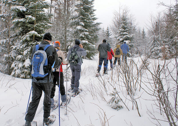 Schneeschuhwandern