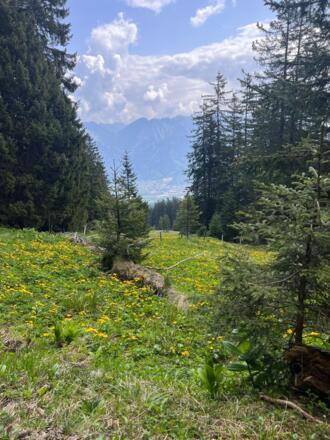 Ausblick Richtung Bludenz