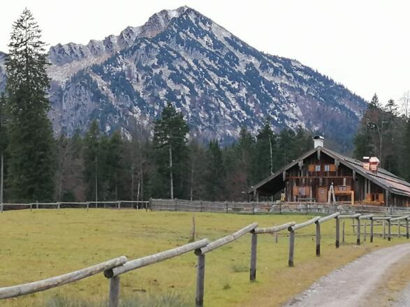 sauruesselalm1