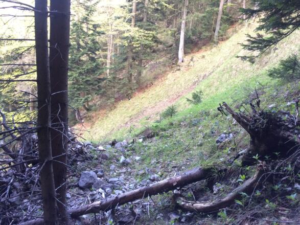 Wegende vor der Steilrinne. Der richtige Weg führt weiter oberhalb entlang.