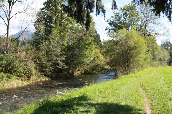 Pfad an der Leitzach
