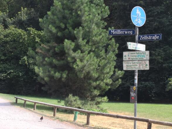 Richtung Englischer Garten
