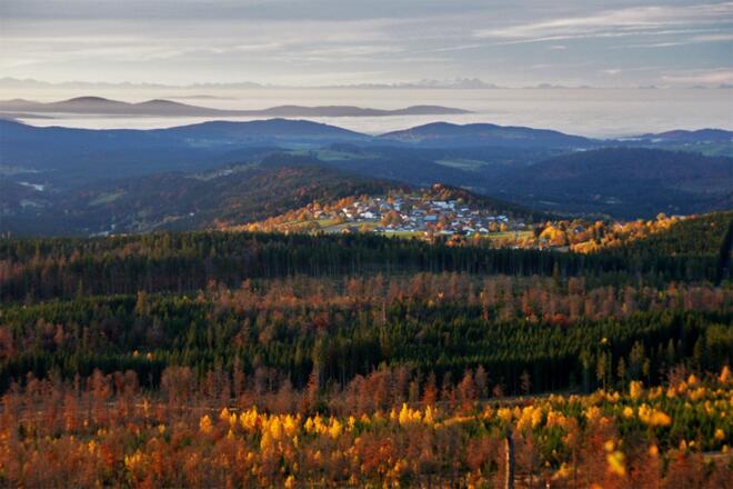 Siebensteinkopf Blick Finsterau