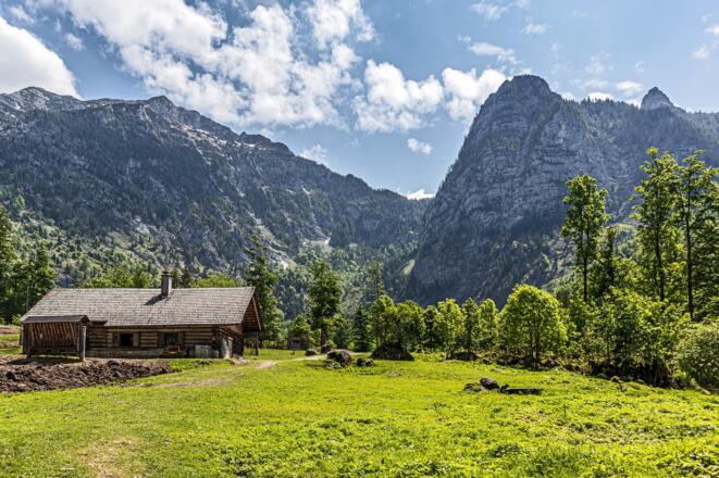 Mittereckeralm