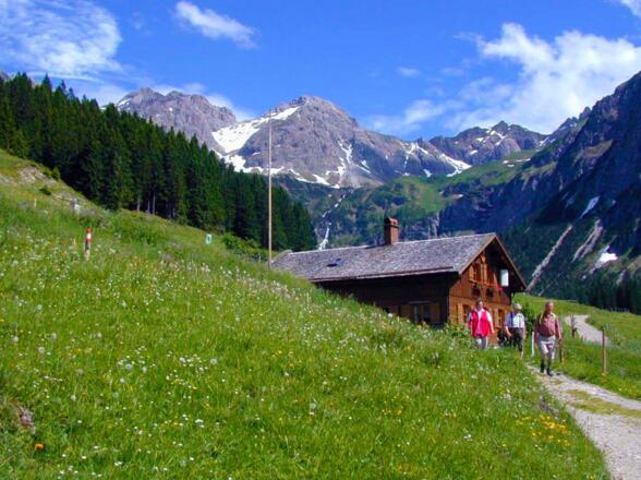 Innere Wiesalpe Sommer