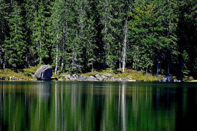 Spiegelung im Rachelsee