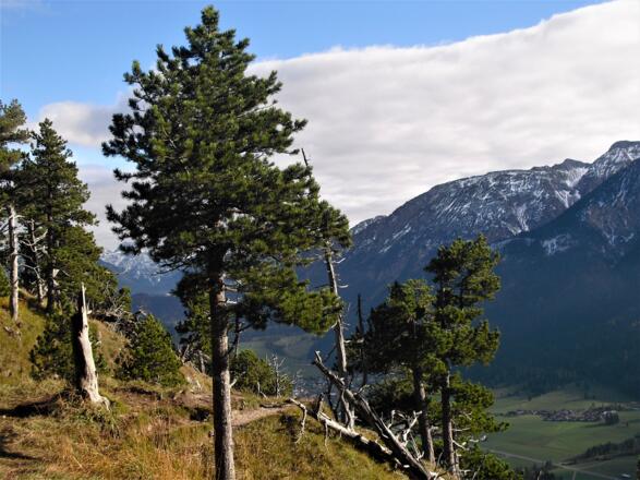 Aussicht nahe des Zwölferkopf