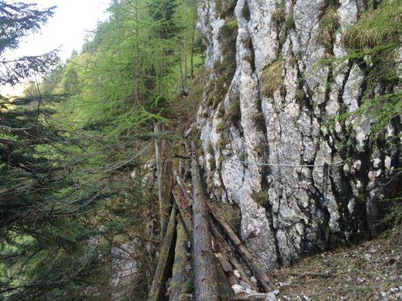 Unterhalb der Schatzwand: Bäume &amp; Seil als Tritthilfe