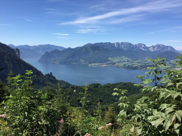 Panorama Traunsee vom Grünberg aus