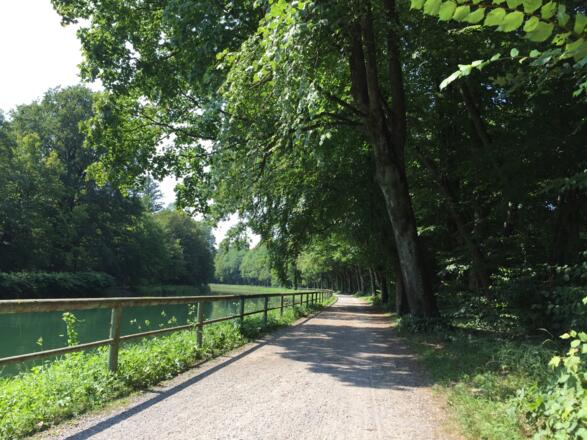 Isarkanal bei Hinterbrühler See