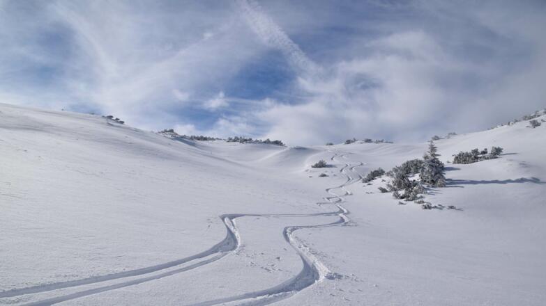 Skitour Brandenberg Roßkogel Spuren im Schnee