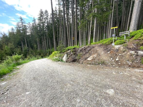 ... folgt dem Güterweg bis zu einer scharfen Rechtskehre, wo man links in den Verbindungsweg zur Rinner Alm einmündet.