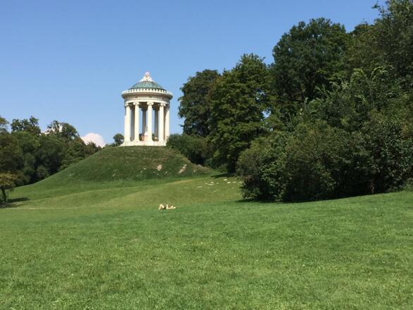 Monopterus im Englischen Garten