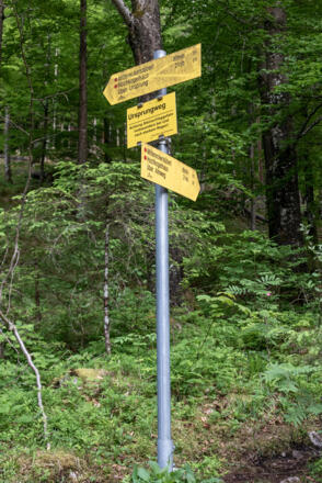 Weggabelung Almweg (Winterweg) / Ursprungweg (Sommerweg)