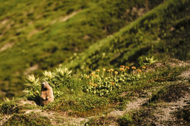 daniel-lech-sommer-06