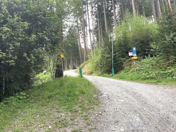 Bei der Auffahrt in Richtung Aldranser Alm, zweigt man bei einer Kehre mit offenem grünen Schranken links ab und ...
