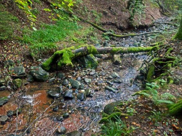 Der Feldbach in der Kaskadenschlucht