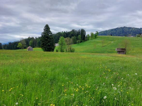Gschwend Blick nach Rohnen
