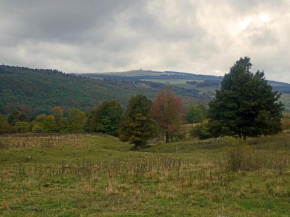 Blick zur Wasserkuppe