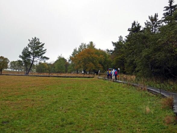 Am Rand des Schwarzen Moores