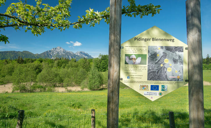 Der Pidinger Bienenweg