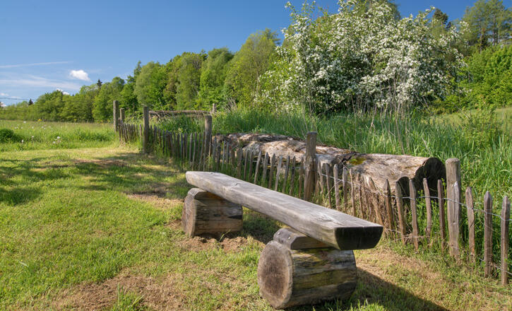 Bank am Pidinger Bienenweg