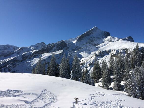 F38DD1B7-CEFE-4344-9A0C-916186FC9EC1