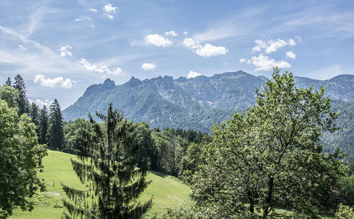 Blick von der Wolfschwang Alm zur Schlafenden Hexe