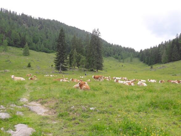 Obere Hemmersuppenalm