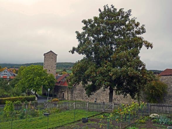 An der Fladunger Stadtmauer
