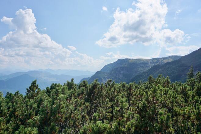 Blick zurück zum Fellhorn