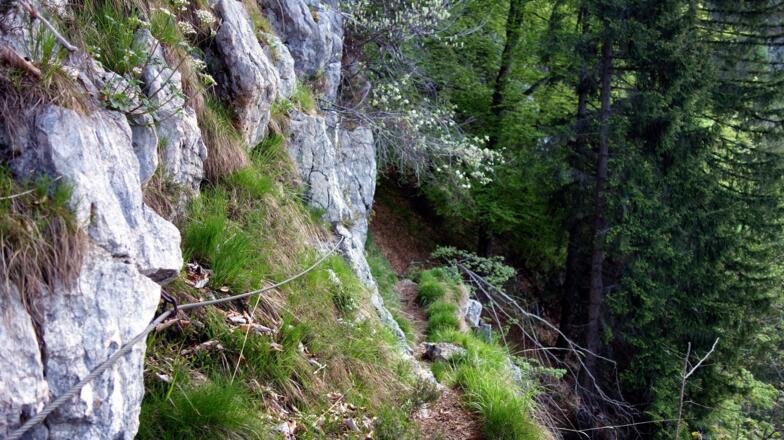 Seilsicherungen bei der Querung