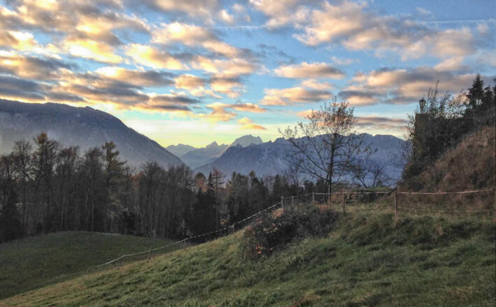 Morgendlicher Blick vom Bienenweg zum Watzmann