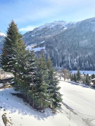 Chesa Bunita Aussicht in die Silvretta