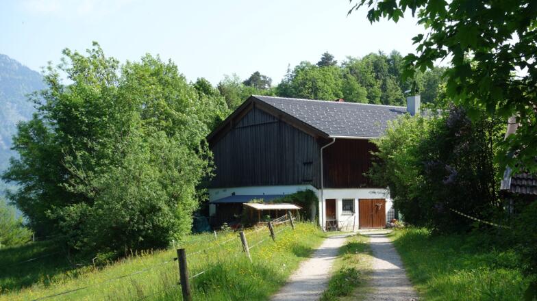 Kugelbachbauer um 650m (links der Forststraßenabfahrt)