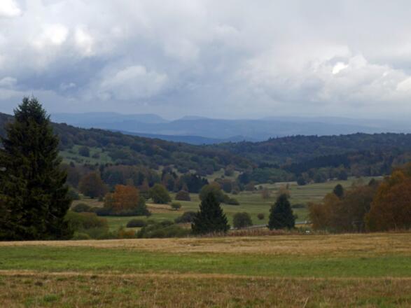 Blick zum Thüringer Wald