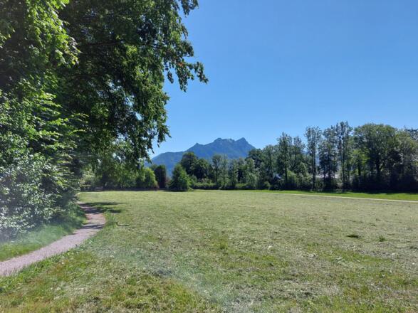 Rundweg um die Biber