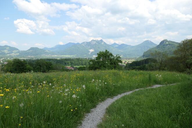 Blick auf das Alpenpanorama