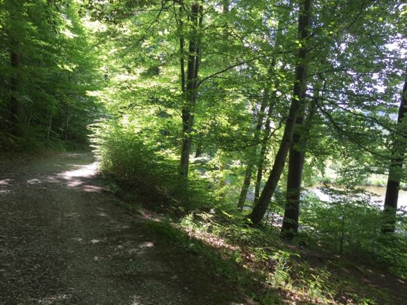 Uferweg Deininger Weiher links sehr holprig